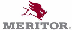 Steering & Suspension